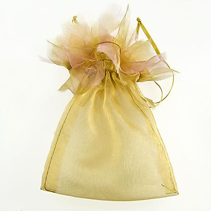 BXP44: Frilly Taupe or Fuschia Gift Pouch