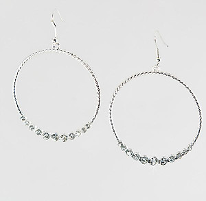 EA 534: Crystal Circle of Excellence Earrings