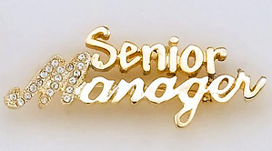 PA499: Senior Manager Pin