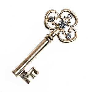 PA667: Golden Key Pin with Crystal