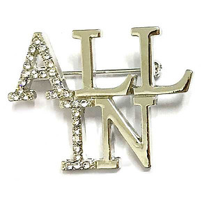 PA668: ALL IN Pin