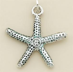 CH100S: Silver Starfish Charm