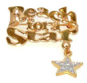 PA511: Reach For A Star Pin