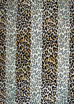 SS03: Leopard Scarf Bandanna Mask