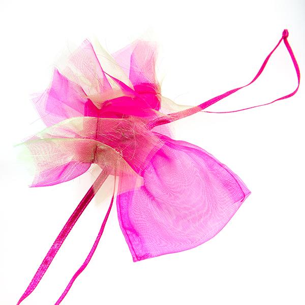 BXP62: Frilly Pink Organza Gift Bag