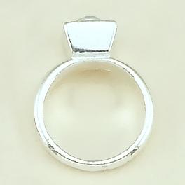 CH202: Ring Charm in Gold or Silver