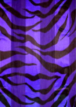SS09AP: Purple Zebra Scarf - Large