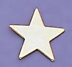 TA239: Medium Gold Star Tack