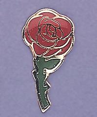 TA89: Red Rose Tack